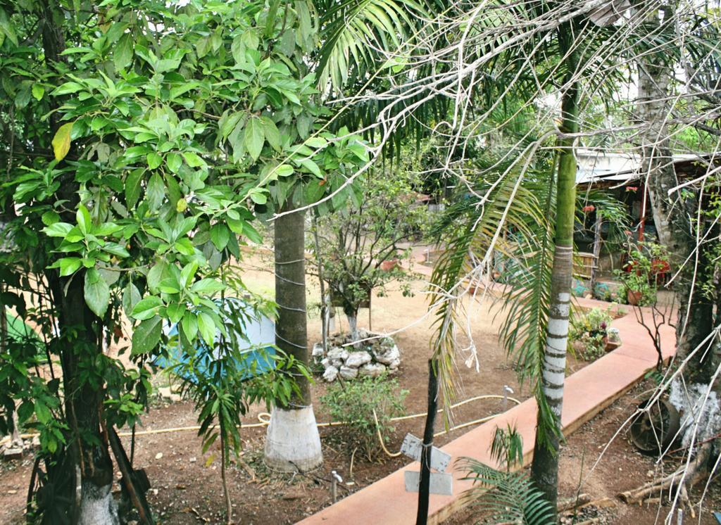 Yaxche Centro Hostal Y Camping Bacalar Dış mekan fotoğraf