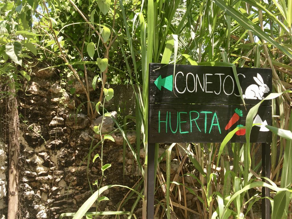 Yaxche Centro Hostal Y Camping Bacalar Dış mekan fotoğraf